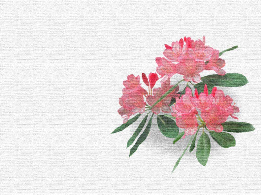 303217 (a): :1024x768